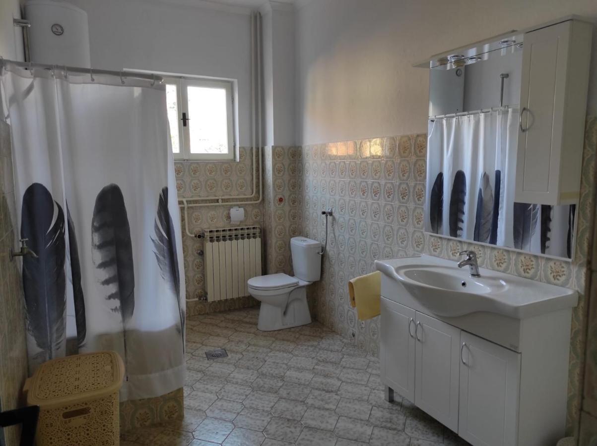 Apartman Vlado Zadar Dış mekan fotoğraf