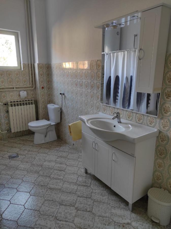 Apartman Vlado Zadar Dış mekan fotoğraf