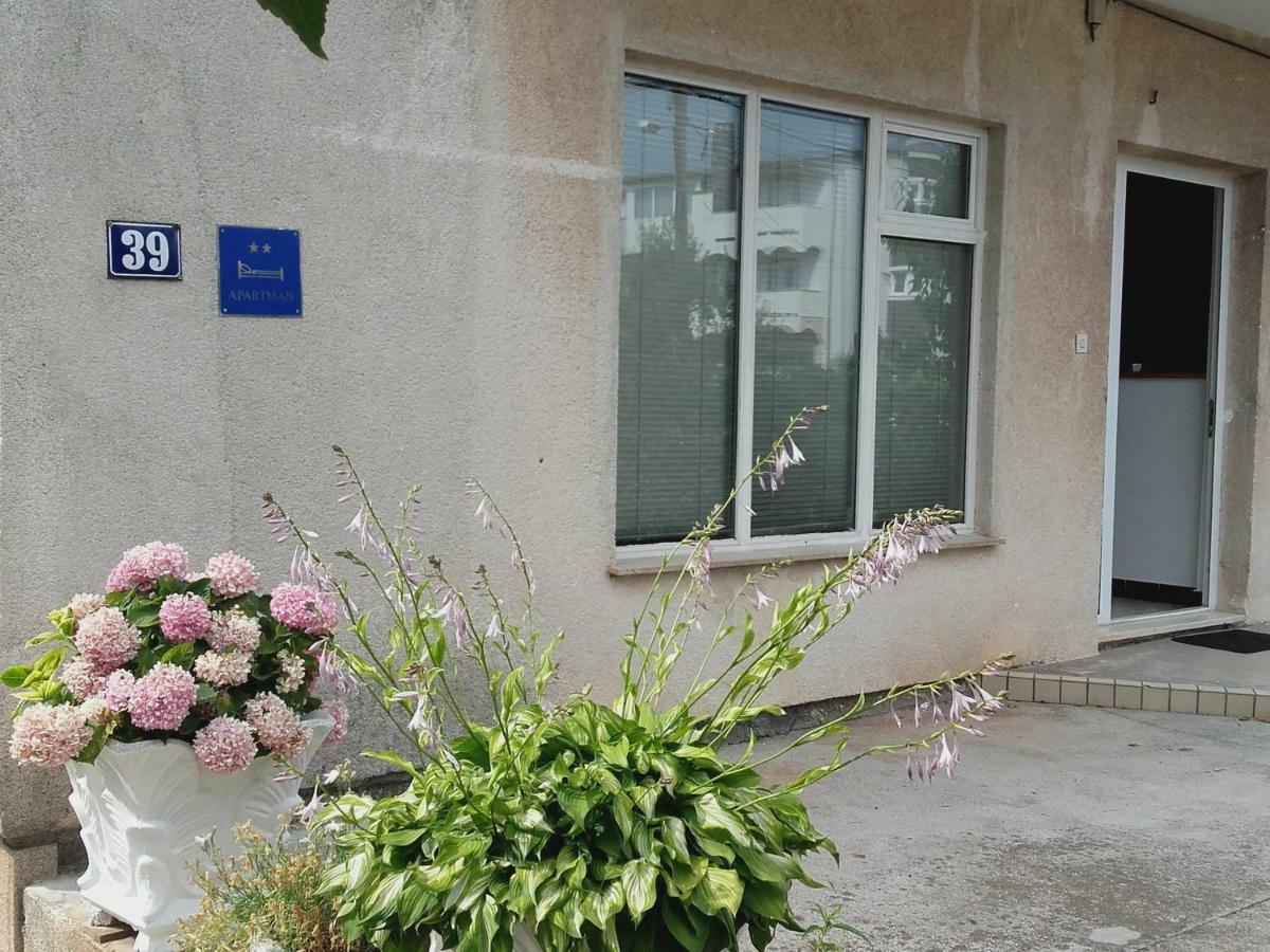 Apartman Vlado Zadar Dış mekan fotoğraf